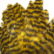 ������� ���� Hen feathers ������ �������